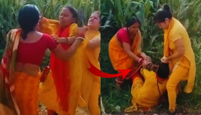 Viral Video: झिंज्या उपटल्या, लाथा बुक्यांनी तुडवलं; शिक्षिकांनी एकमेकींना लोळून लोळून मारलं... पाहा Video