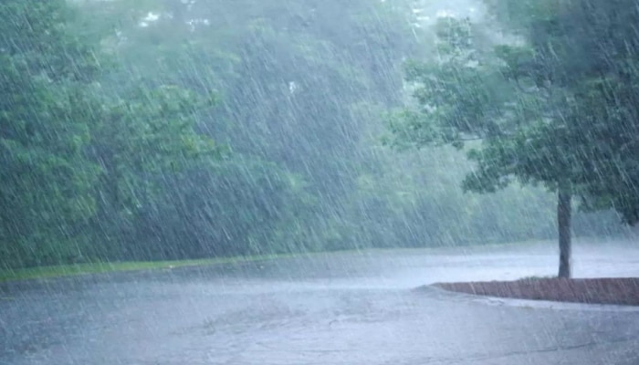 Weather Forcast : ढगाळ वातावरण, सोसाट्याचा वारा आणि पाऊस...; देशभरातील हवामानाचा अंदाज एका क्लिकवर 