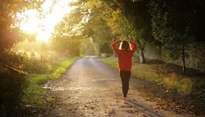 भरपूर खा, भरपूर चाला आणि तंदुरूस्त राहा, संध्याकाळी चाललण्याचे &#039;हे&#039; आहेत फायदे