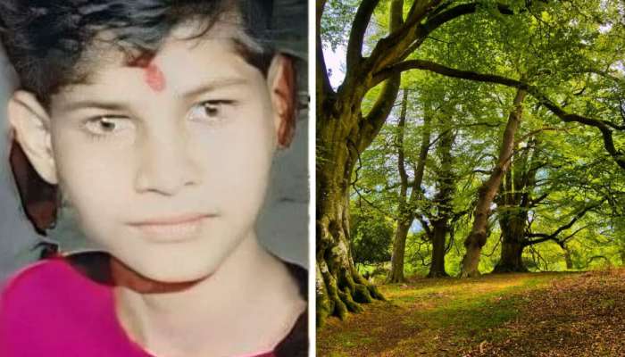रागात 12 वर्षांच्या मुलाने घर सोडले, दोन दिवसांनी जंगलात सापडला मृतदेह, गळ्यात दोरी; गूढ कायम 