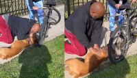  Viral Video : हा खरा देवदूत! 'त्या' व्यक्तीने CPR देऊन श्वानाला वाचवलं