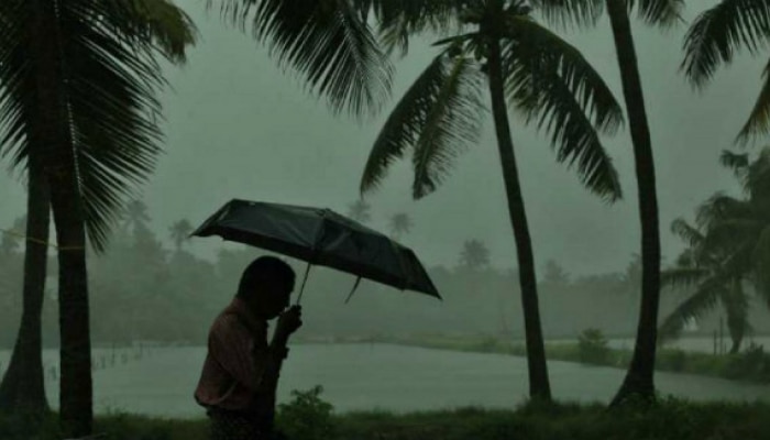 Weather Update : राज्याच्या &#039;या&#039; भागांना तुफानी पावसाचा तडाखा बसणार,  पुढील 24 तास महत्त्वाचे 