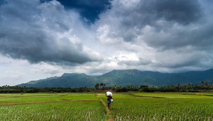 Weather Forecast : पुढील दोन दिवस कोकणासह गोव्यात पाऊस वीकेंड गाजवणार, शेतकऱ्यांची चिंता मिटणार 