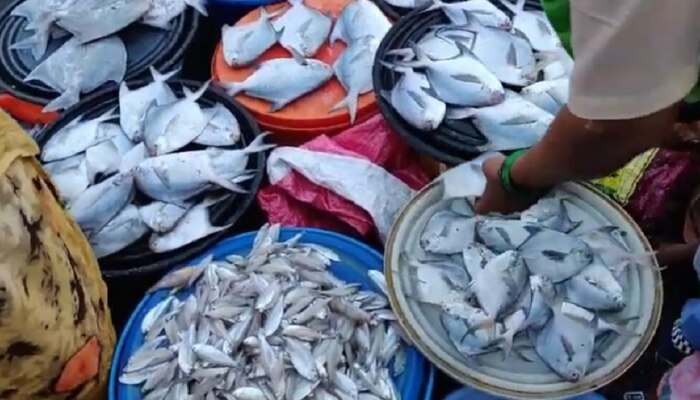 Fish Thali वर ताव मारणाऱ्यांनो, आजपासून मासेमारी बंद; आता कुठे मिळतील ताजे, स्वस्त मासे?