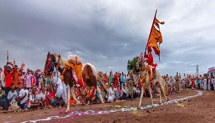 ज्ञानेश्वर माऊली यांच्या पालखी सोहळ्यात असणाऱ्या अश्वांबाबत ही माहिती तुम्हाला माहिती आहे का?