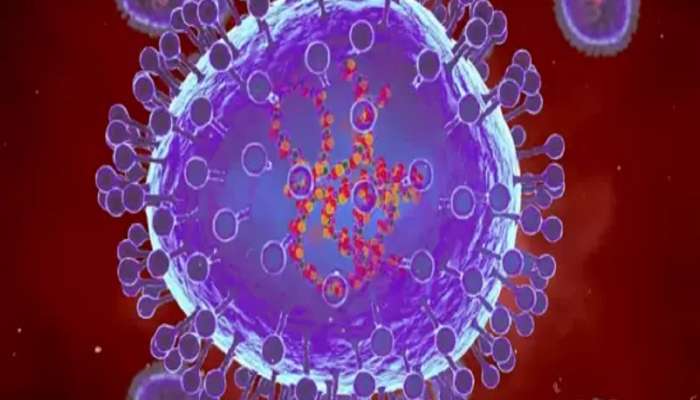 HMPV : सावध राहा, काळजी घ्या! &#039;या&#039; देशात झपाट्याने पसरतोय Human Metapneumovirus, भारतालाही धोका? 