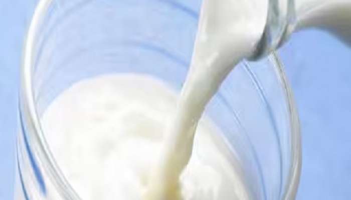 Best Alternatives for Milk know the different types of milk that you can use 