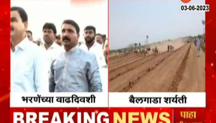 MLA Dattatray Bharne organise Bullcart race on his birthday