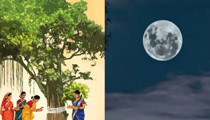 Vat Purnima 2023:  आज वडासोबतच करा &#039;या&#039; दोन वृक्षांची पूजा; अखंड सौभ्याग्यासह मिळवा धनप्राप्तीचा आशीर्वाद 
