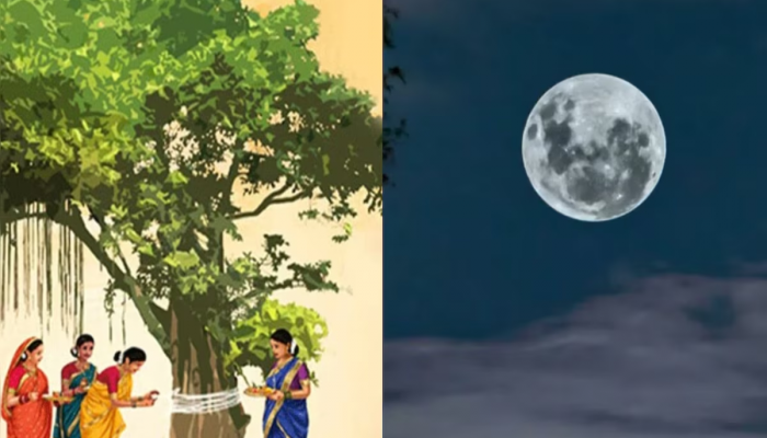 Vat Purnima 2023:  आज वडासोबतच करा 'या' दोन वृक्षांची पूजा; अखंड सौभ्याग्यासह मिळवा धनप्राप्तीचा आशीर्वाद 