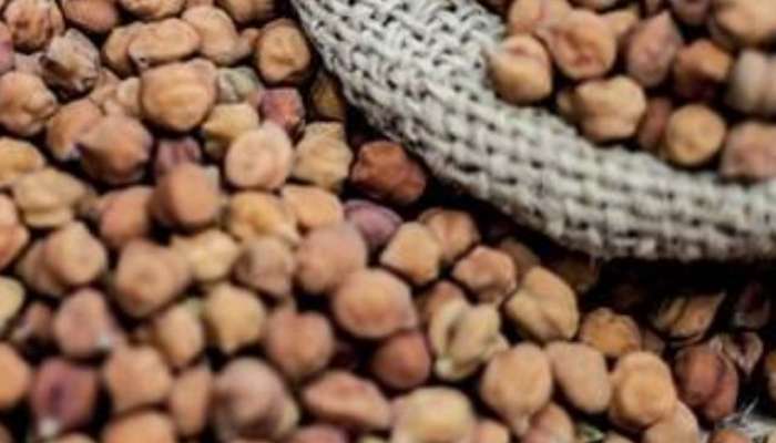 benefits of eating soaked, boiled and roast chana in marathi