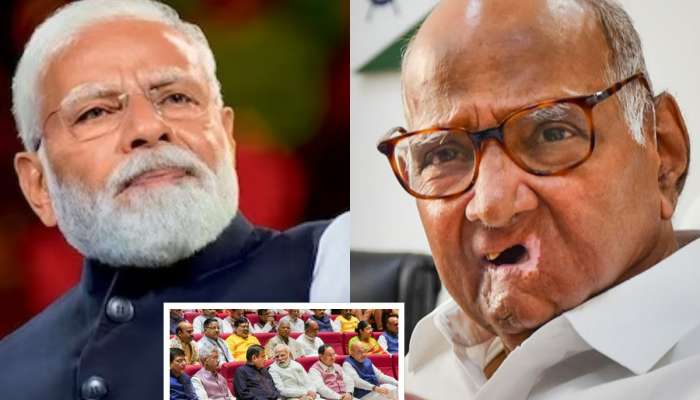 मोदींच्या मंत्रिमंडळातील तुमचा आवडता चेहरा कोणता? शरद पवारांनी दिलेलं उत्तर ऐकून भुवया उंचावतील