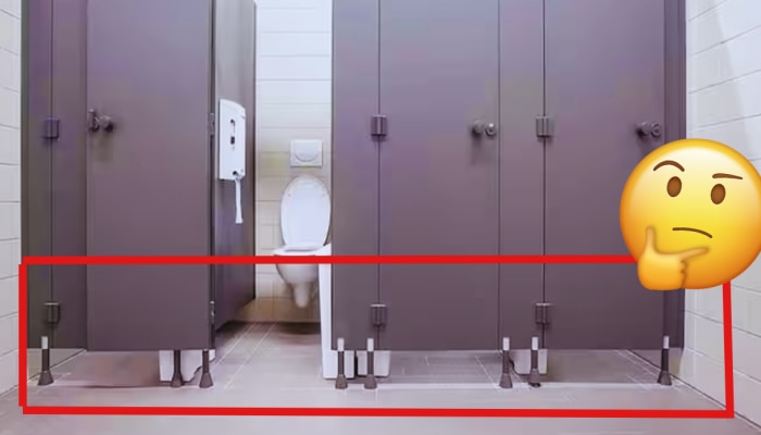 Toilet Interesting Facts: मॉलच्या टॉयलेटचे दरवाजे उंच का असतात? कारण समजताच भुवया उंचावतील