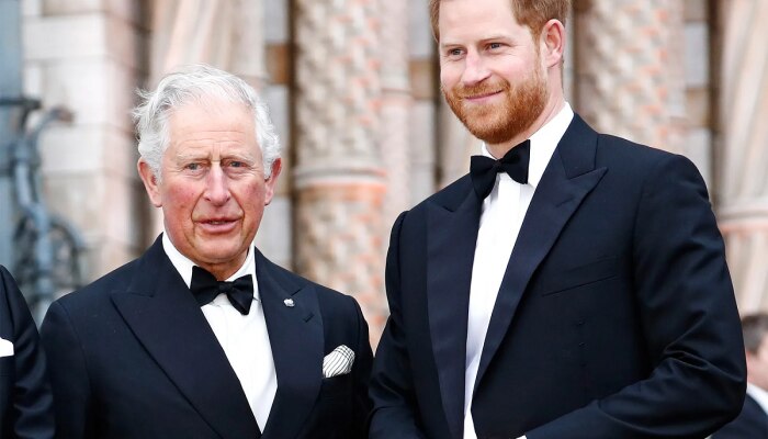Prince Harry News: ब्रिटनच्या राजघराण्याचं आणखी एक गुपित ; प्रिन्स हॅरी यांच्या जन्माबाबतचं Secret समोर 