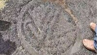 रत्नागिरीत बारसू सड्यावरील कातळशिल्प पुन्हा चर्चेत; संशोधक आणि अभ्यासकांनी केली पाहण