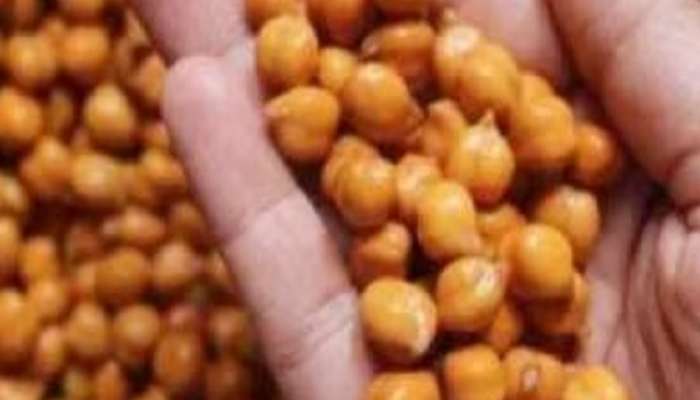health tips know the chickpea benefits trending news in marathi  