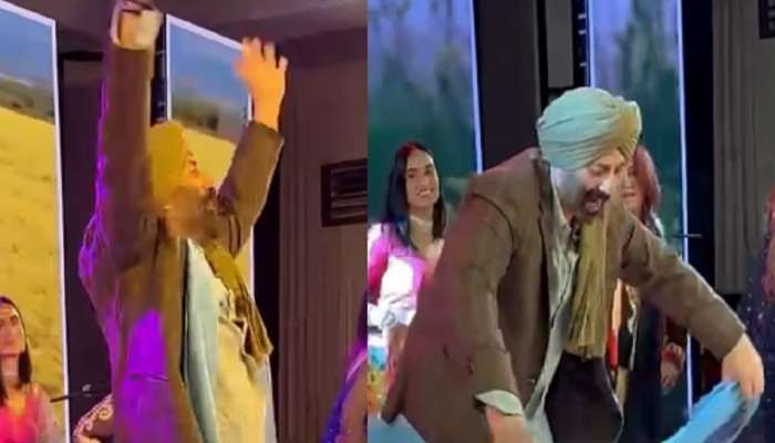  VIDEO: लेकाच्या संगीत सेरेमनीमध्ये Sunny Deol यांनी केला &#039;मैं निकाला गड्डी लेके&#039; गाण्यावर डान्स