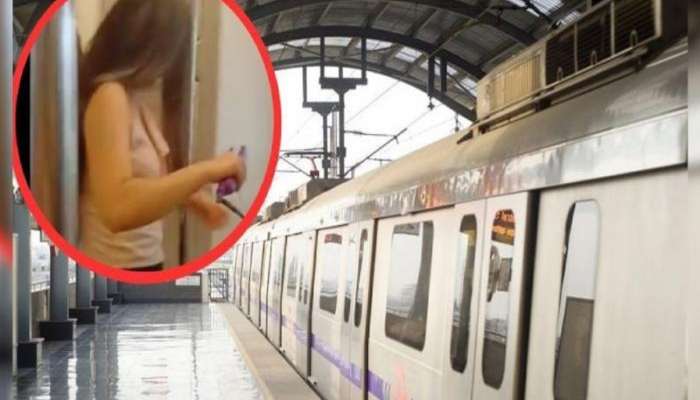 दिल्ली मेट्रोमध्ये तरुणीने केली हद्दपार, &#039;त्या&#039; कृत्याचा Video Viral 