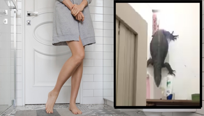 Viral Video : तरुणी बाथरुममध्ये आंघोळ करतानाच खिडकीतून आला महाकाय प्राणी, ती ओरडली आणि...