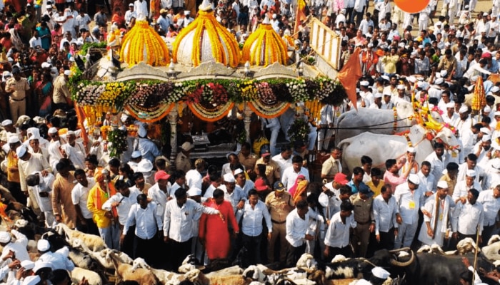 Pandharpur Wari: संत तुकाराम महाराजांच्या पालखीला काटेवाडीत का घातलं जातं मेंढ्यांचं रिंगण? 