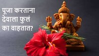 देवाची पूजा करताना फुलं का वाहतात? तुम्ही कधी याचा विचार केला आहे का? वाचा कारण