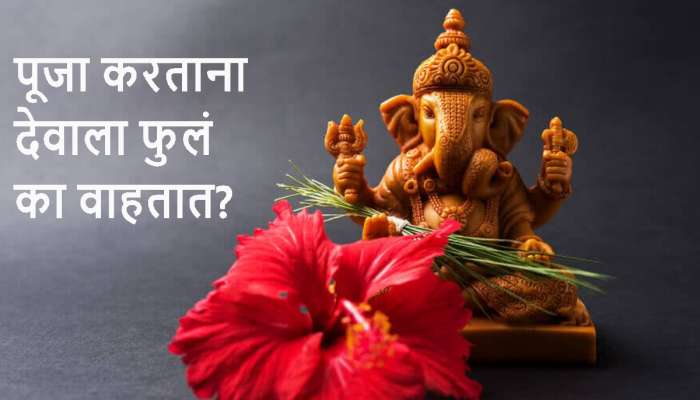 देवाची पूजा करताना फुलं का वाहतात? तुम्ही कधी याचा विचार केला आहे का? जाणून घ्या कारण