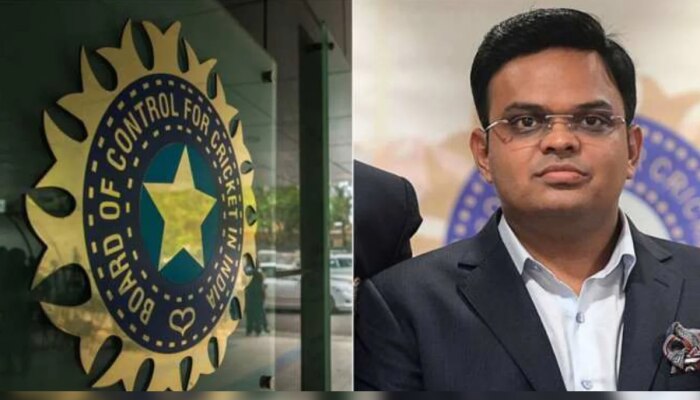 BCCI कडून टीम इंडियाच्या नव्या सिलेक्शन समितीची घोषणा; 45 वर्षीय महिला बनली चीफ सिलेक्टर