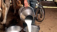 'दुधाला लीटरमागे देशी दारूच्या चपटी इतकी किंमत द्या' सदाभाऊ खोत यांची मागणी