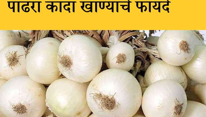 White Onion : तुम्ही कधी पांढरा कांदा खाल्ला आहे का? त्याचे एक नाही तर &#039;हे&#039; अनेक फायदे 