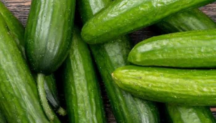 cucumber, lifestyle lifestyle news, 