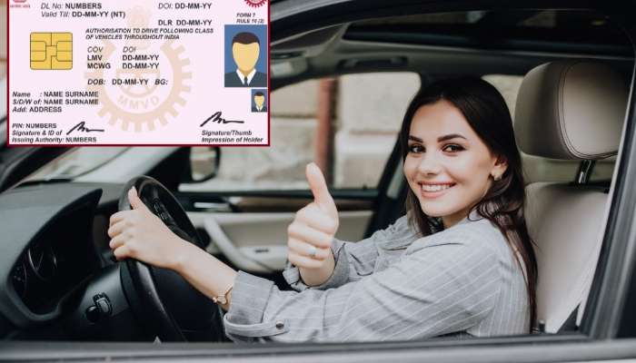 Driving License हरवले तर काय करावे? हे सोपे उपाय करा आणि मिळवा तुमचे लायसन्स