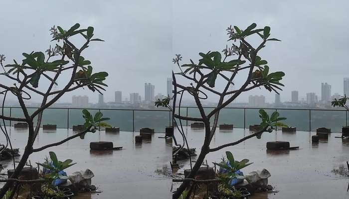 Mumbai Rain : मुंबईत पावसाला सुरुवात, &#039;हाय टाईड&#039;चा इशारा