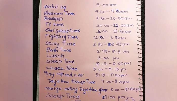 6 वर्षांच्या मुलाचं Daily Timetable चर्चेत! अभ्यासासाठीचा राखीव Time पाहून अनेकांना बसला आश्चर्याचा धक्का