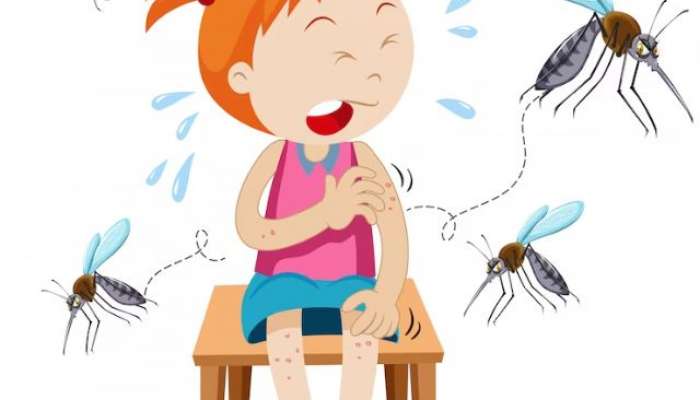 Mosquito Bite, Mosquito Bite home Remedies, Mosquito Bite Remedies, lifestyle, lifestyle news, 