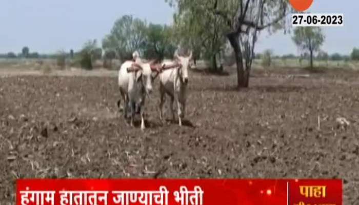 Beed Ground Report Farmer Awaits For Good Rainfall For Pending sowing season 