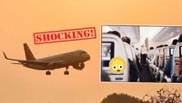 Air India च्या प्रवाशाने सीटजवळच केली लघवी अन् विष्ठा; विमान हवेत असताना घडला प्रकार