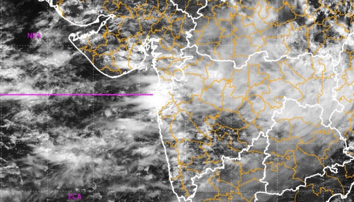 Maharashtra Monsoon News: पुढील 5 दिवस महत्त्वाचे; राज्यातील &#039;या&#039; भागांना IMD कडून अलर्ट जारी!