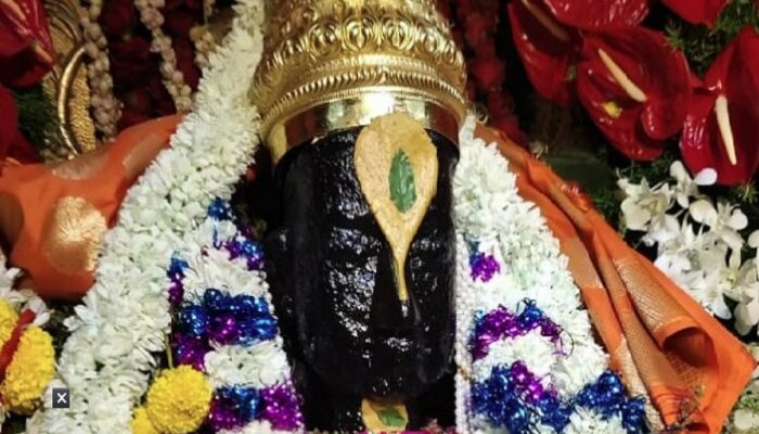 Ashadhi Ekadashi Astro : आज कोणावर होणार पांडुरंगाची कृपा; पाहा त्यात तुमची रास आहे का