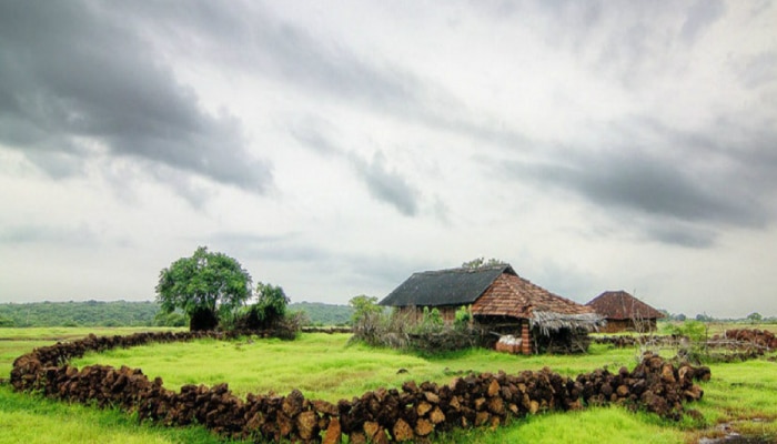 Maharashtra Monsoon: राज्यात पुढील 4 दिवस मुसळधार पाऊस; बळीराजा सुखावला 