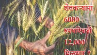 शेतकऱ्यांसाठी मोठी बातमी; आता 6 हजारांऐवजी 12000 रुपये मिळणार? सरकारचा निर्णय