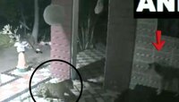 कैसा गुंडा बनेगा रे तू! कुत्र्याला घाबरून बिबट्यानं ठोकली धूम, नगरमधील हा VIDEO पाहा