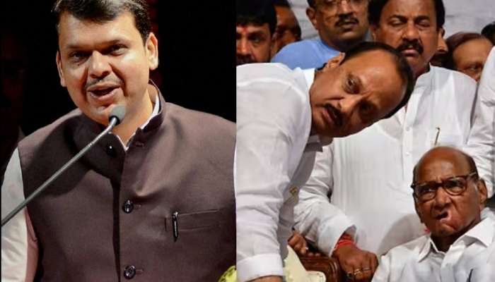 Pawar vs Fadnavis: गुगली मी टाकली अन् पवारांचं सत्य समोर आलं, त्यांच्या गुगलीवर अजित पवारच बोल्ड! -फडणवीस