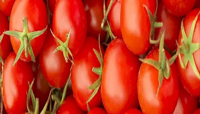 Tomato, Tomato Price, Tomato Price Hike, Tomato Price in Market, Wholesale Tomato Price, Tomato Price Update, Tomato Rates Incresed, heatwave, Tomato rate, why tomato became expensive, tomato farmer, tomato in market, tomato price