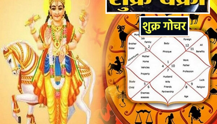 Shukra Vskri : शुक्र 'या' राशीच्या लोकांना बनवेल श्रीमंत, 'या' दिवसापासून तिजोरीवर  7 ऑगस्टपर्यंत लक्ष्मीची कृपा 