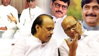 राज, धनंजय असो वा अजितदादा; काका पुतण्याच्या राजकारणाचं महाराष्ट्राला वावडं!
