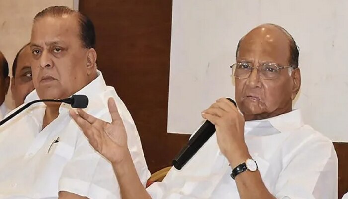 NCP MLA`s to meet Sharad Pawar : शपथ घेत मंत्रीपदावर विराजमान झालेले &#039;ते&#039; आमदार शरद पवारांची भेट घेणार? 