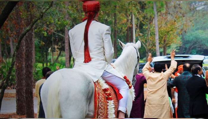 सासूचे 'तसे' कृत्य पाहून नवरदेवाला बसला धक्का, लग्नमंडपातच घेतला टोकाचा निर्णय 