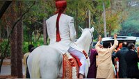 सासूचे 'तसे' कृत्य पाहून नवरदेवाला बसला धक्का, लग्नमंडपातच घेतला टोकाचा निर्णय 