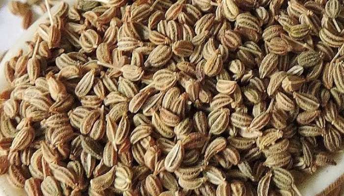 Ajwain