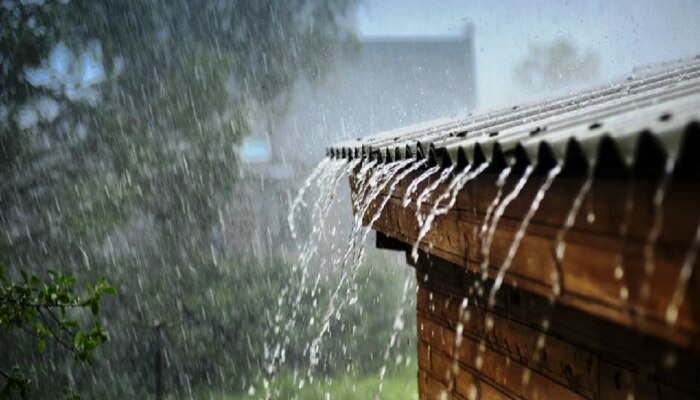 Maharashtra Rain News : पुढील 48 तासात मुसळधार ते अतिमुसळधार पावसाची शक्यता; IMD कडून &#039;यलो अलर्ट&#039;